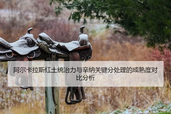 阿尔卡拉斯红土统治力与辛纳关键分处理的成熟度对比分析
