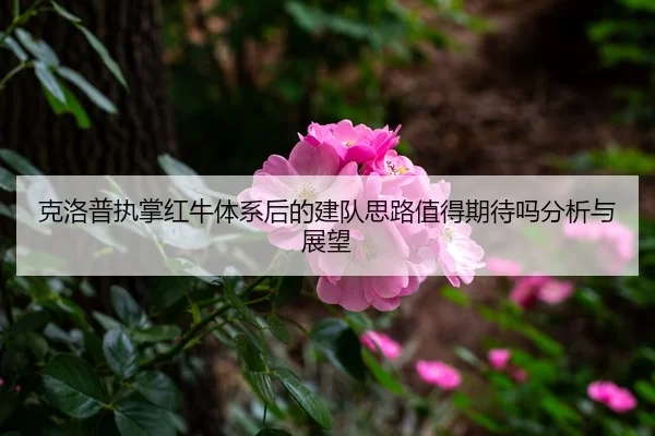 克洛普执掌红牛体系后的建队思路值得期待吗分析与展望