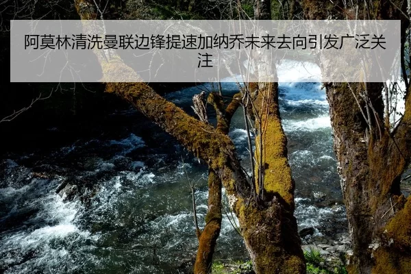 阿莫林清洗曼联边锋提速加纳乔未来去向引发广泛关注