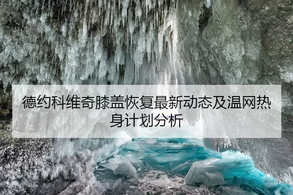 德约科维奇膝盖恢复最新动态及温网热身计划分析
