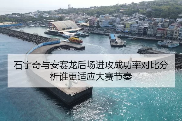 石宇奇与安赛龙后场进攻成功率对比分析谁更适应大赛节奏