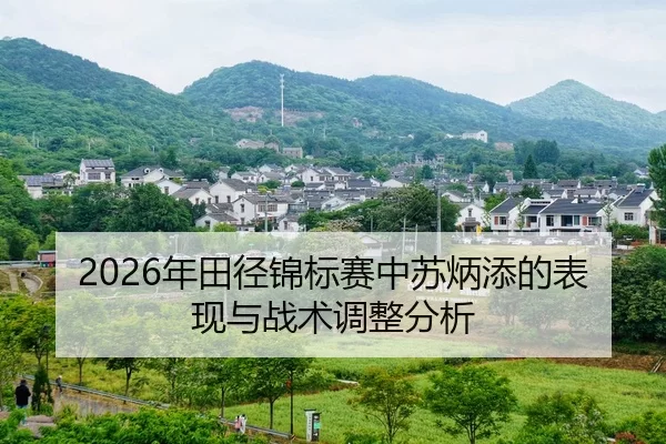 nian-tian-jing-jin-biao-sai-zhong-su-bing-tian-de-biao-xian-yu-zhan-shu-tiao-zheng-fen-xi-2-983.jpg