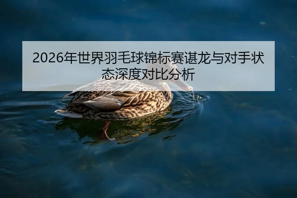 nian-shi-jie-yu-mao-qiu-jin-biao-sai-chen-long-yu-dui-shou-zhuang-tai-shen-du-dui-bi-fen-xi-2-341.jpg