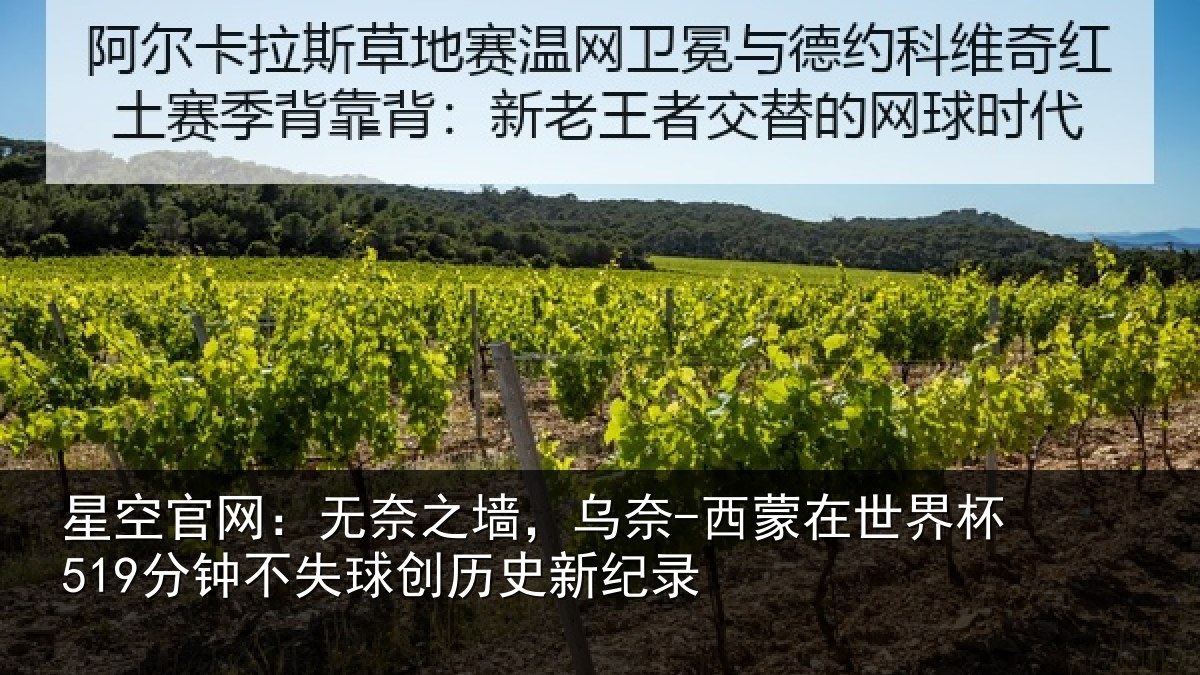 星空官网:无奈相关情况界杯相关情况新纪录