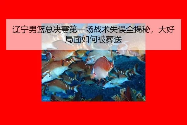 liao-ning-nan-lan-zong-jue-sai-di-yi-chang-zhan-shu-shi-wu-quan-jie-mi-da-hao-ju-mian-ru-he-bei-zang-song-3-943.jpg